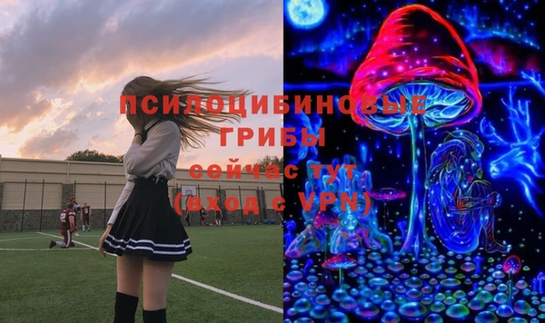 ешки Новокубанск