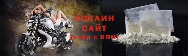 гидра Абаза