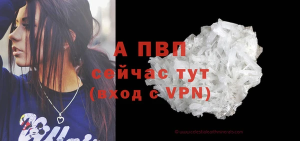гидра Абаза