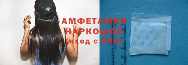 гидра Абаза
