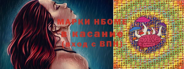 гидра Абаза