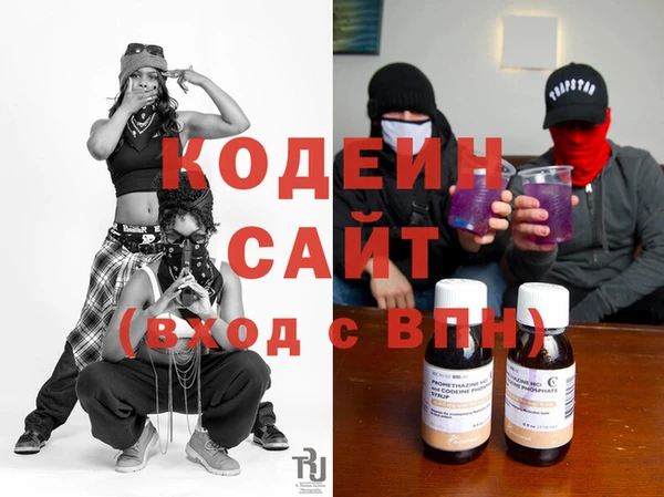 индика Козельск