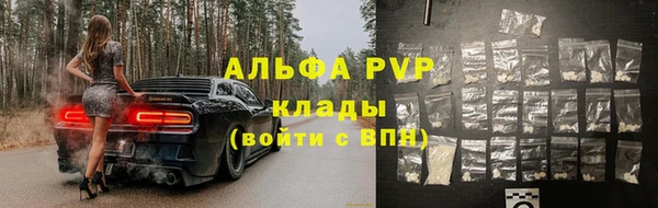 2c-b Новозыбков