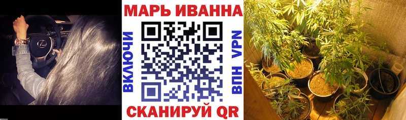 МАРИХУАНА сатива  Суздаль 